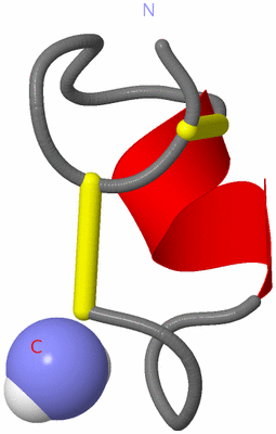 Image NMR Structure - model 1