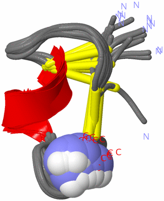 Image NMR Structure - all models