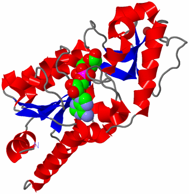 Image Asym./Biol. Unit