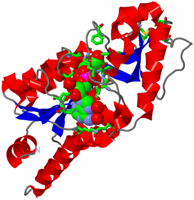 Image Asym./Biol. Unit - sites