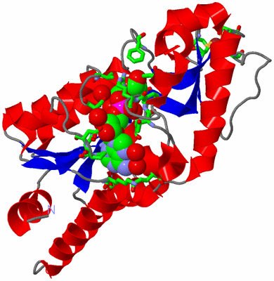 Image Asym./Biol. Unit - sites