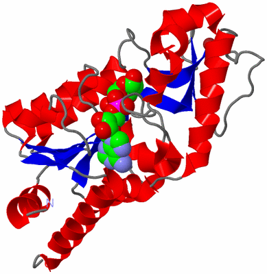 Image Asym./Biol. Unit