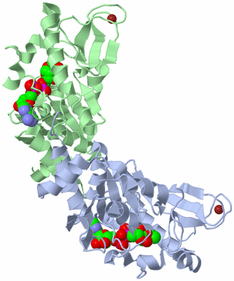 Image Asym./Biol. Unit