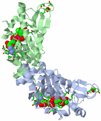 Image Asym./Biol. Unit - sites