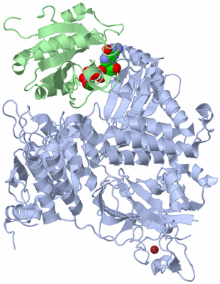 Image Biological Unit 3