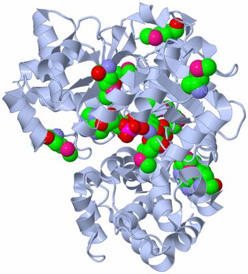 Image Biological Unit 1