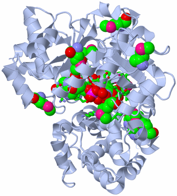 Image Biol. Unit 1 - sites