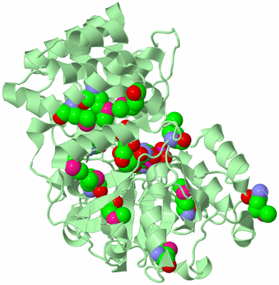 Image Biological Unit 2