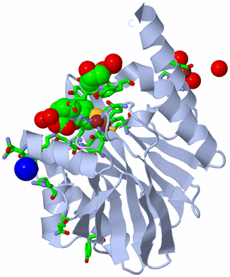 Image Biol. Unit 1 - sites