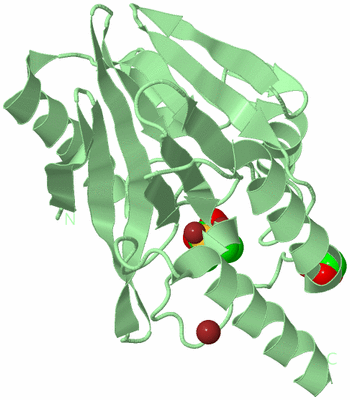 Image Biological Unit 2