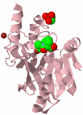 Image Biological Unit 3