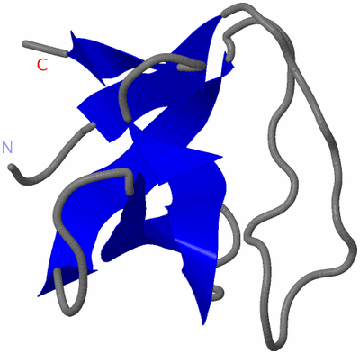 Image NMR Structure - model 1