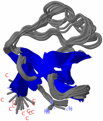 Image NMR Structure - all models