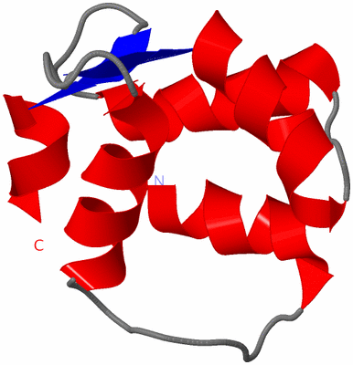 Image NMR Structure - model 1