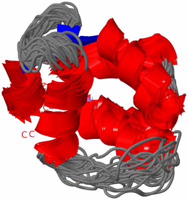 Image NMR Structure - all models