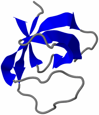 Image NMR Structure - model 1