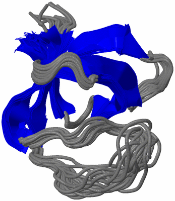 Image NMR Structure - all models