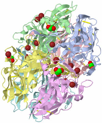 Image Biological Unit 1