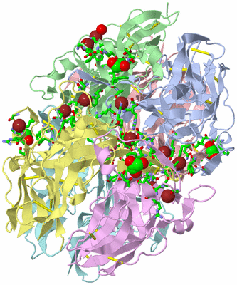 Image Biol. Unit 1 - sites