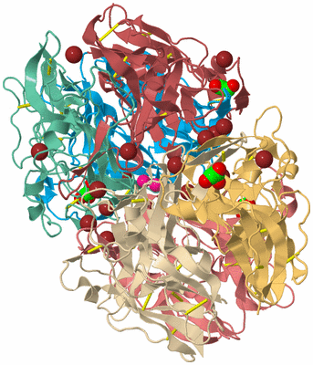 Image Biological Unit 2