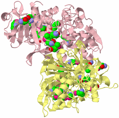 Image Biological Unit 2