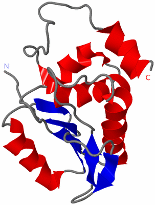 Image NMR Structure - model 1