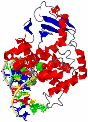 Image Asym./Biol. Unit