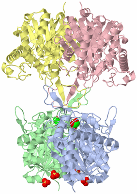 Image Asym./Biol. Unit