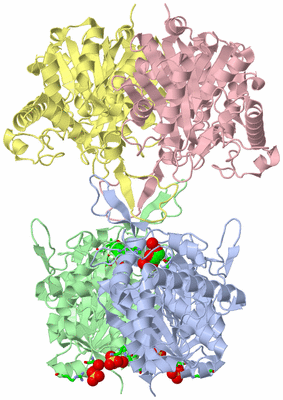 Image Asym./Biol. Unit - sites