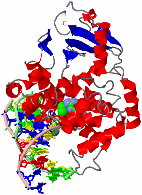 Image Asym./Biol. Unit