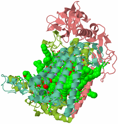 Image Asym./Biol. Unit - sites