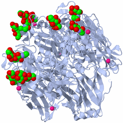 Image Biological Unit 1