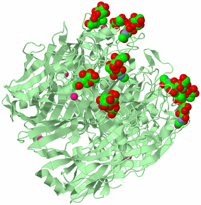 Image Biological Unit 2