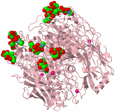 Image Biological Unit 3