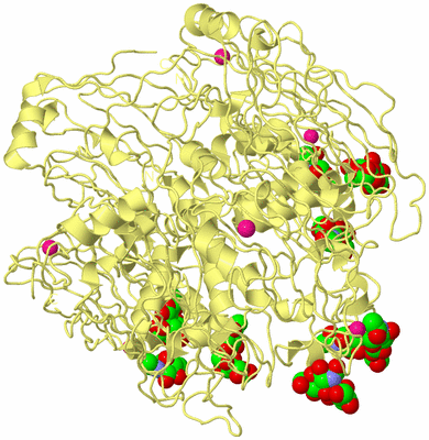 Image Biological Unit 4