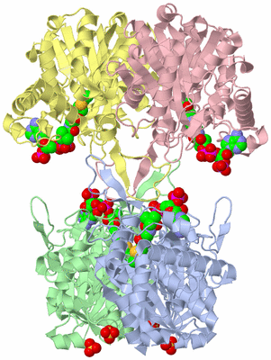 Image Asym./Biol. Unit