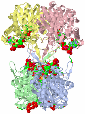 Image Asym./Biol. Unit - sites