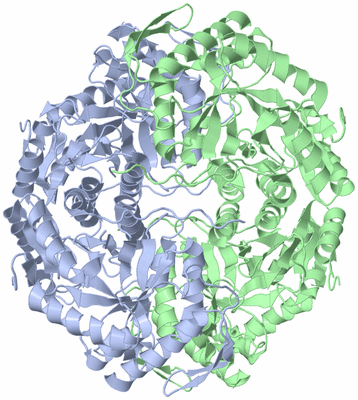 Image Biological Unit 1