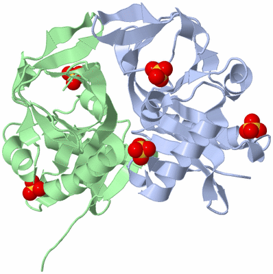 Image Asym./Biol. Unit