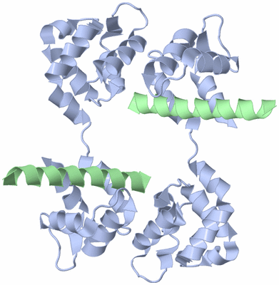 Image Biological Unit 2