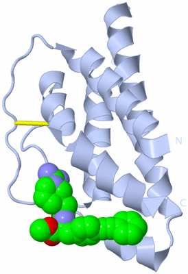 Image Biological Unit 1