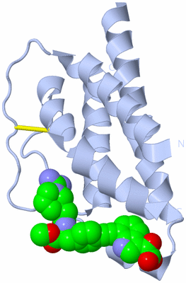 Image Biological Unit 1