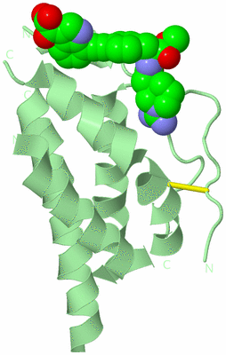 Image Biological Unit 2