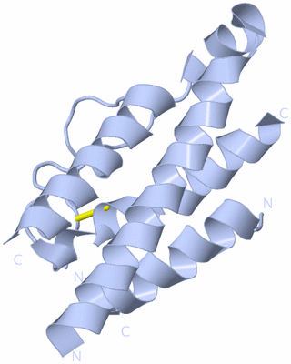 Image Biological Unit 1