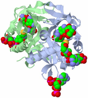 Image Asym./Biol. Unit