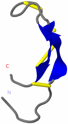 Image NMR Structure - model 1