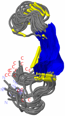 Image NMR Structure - all models