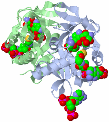 Image Asym./Biol. Unit