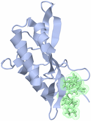 Image NMR Structure - model 1