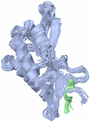 Image NMR Structure - all models